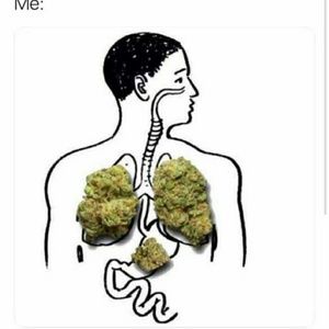 Meet your Posher, Auston